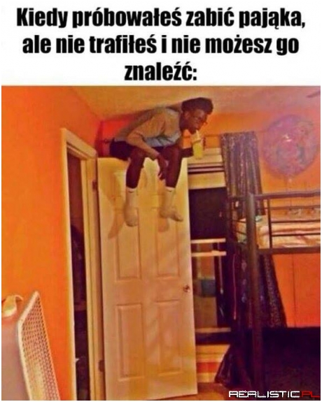 Poszukiwania pająka