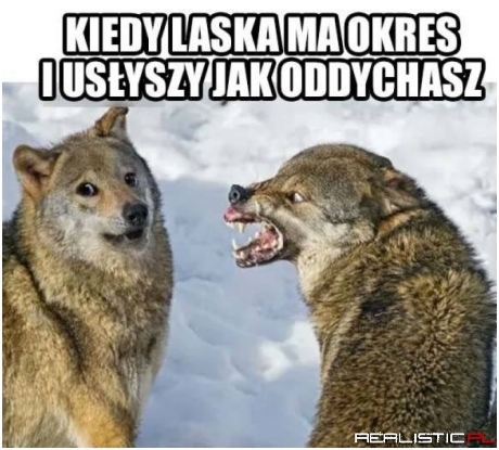 Strach się bać