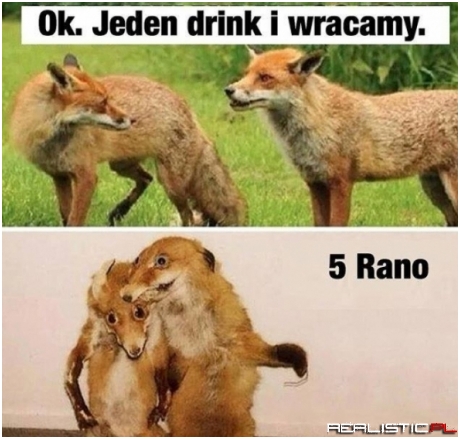 Tak to się zawsze kończy