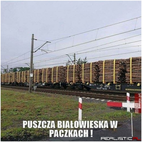 Taka sytuacja...