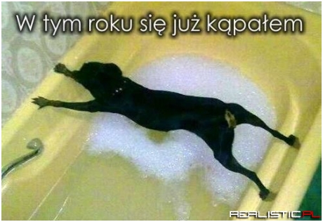 To się chyba nie uda