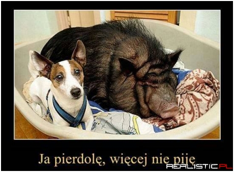 Trzeba przynajmniej ograniczyć ;)
