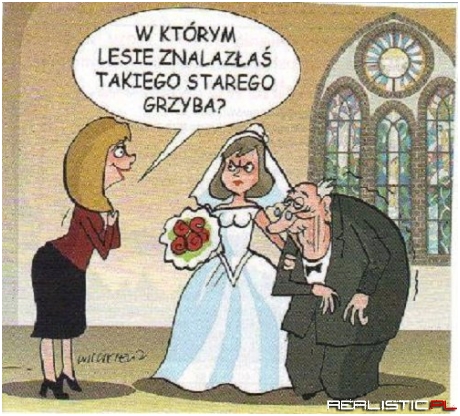W lesie pieniędzy :P