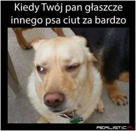 Zazdrośnik!