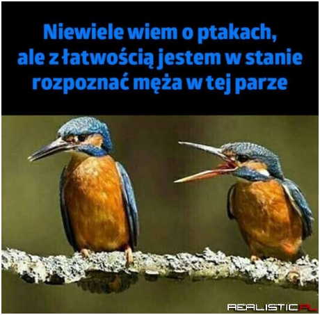 Zła żona ;)