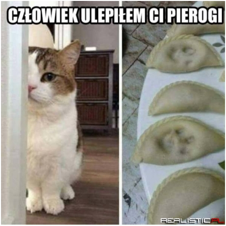 Ciapki łapki fajtłapki