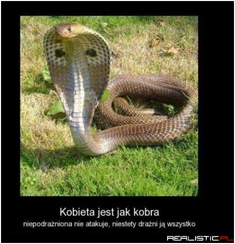 Dokładnie!