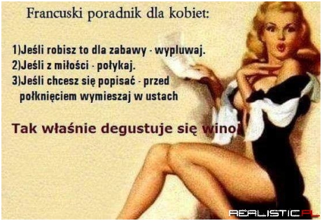 Francuski poradnik