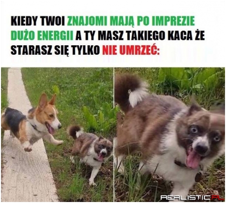 Kac morderca
