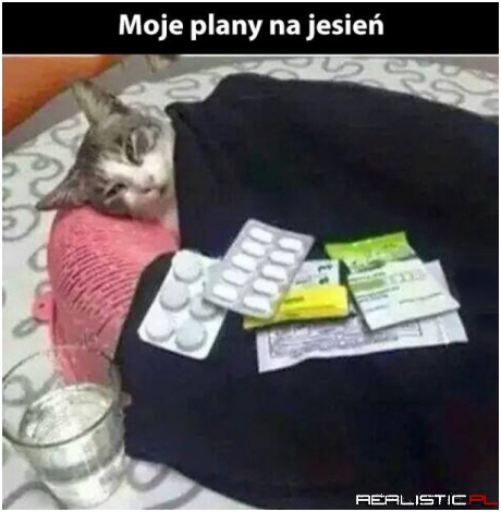 Kocia depresja ;)
