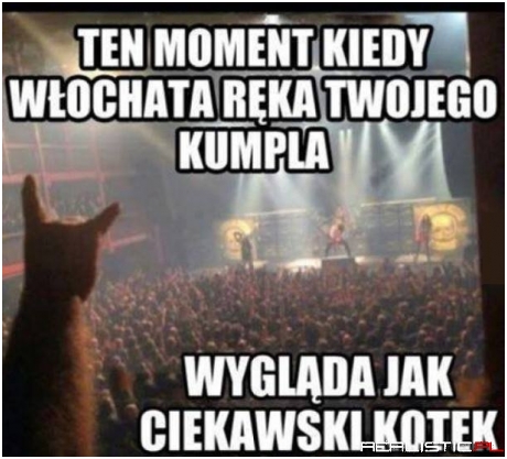 Kocur