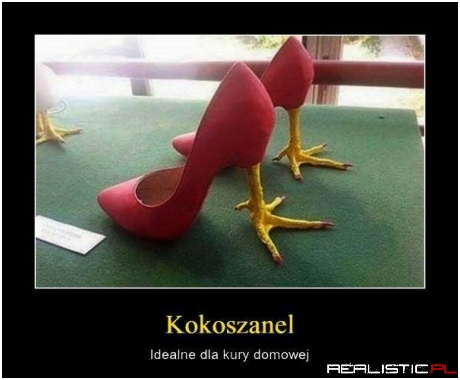 Kokoszanel