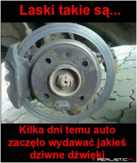 Laski takie są...
