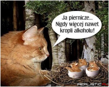 Nigdy więcej ;)