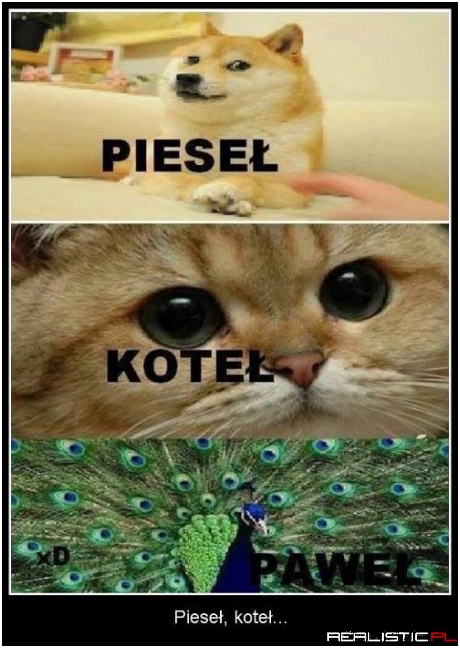 Padłem xD