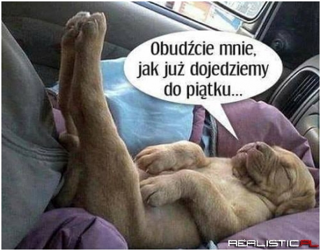 Piątunio