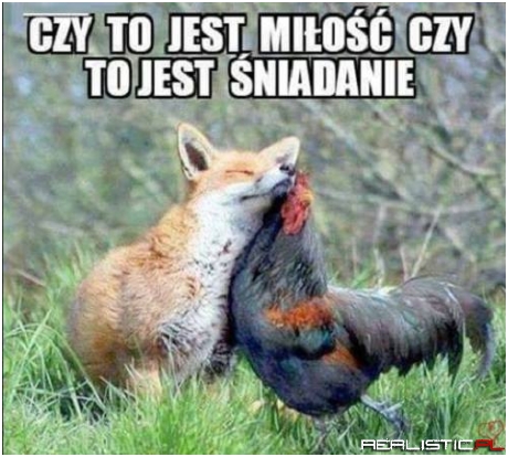 Przez żołądek do serca ;)