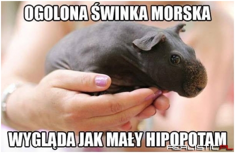 Słodziak xD