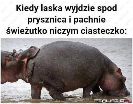 Świeżutkie ciasteczko