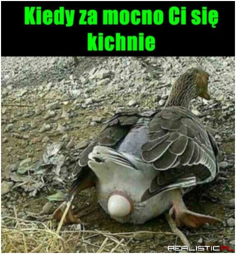 Uważaj jak kichasz ;)