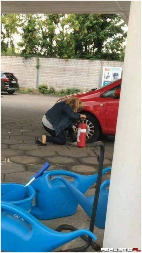 Wtf?