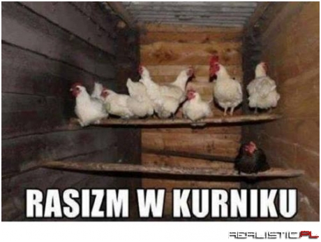 Zna swoje miejsce ;)