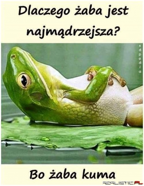 A jak zakuma to zawsze rechocze ;)