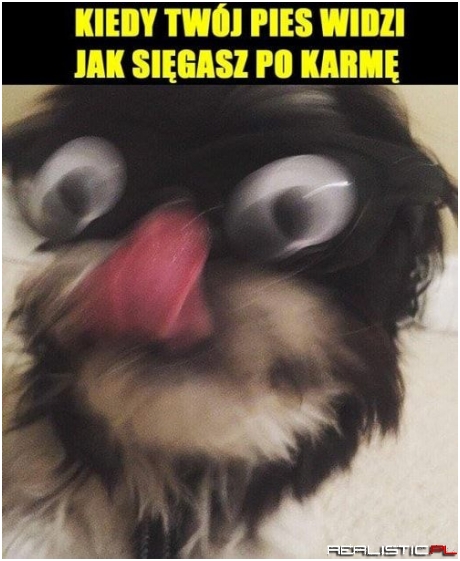 Chyba po uchwyt od lodówki...