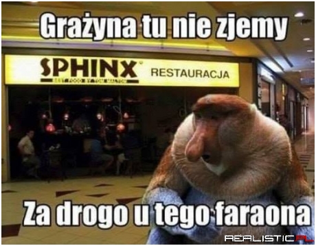 Co ten Faraon xD