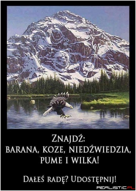 Coś dla wzrokowców ;)