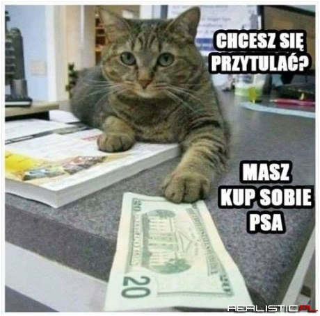 Dobre xD