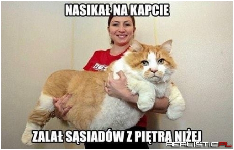 Duży sierściuch ;)
