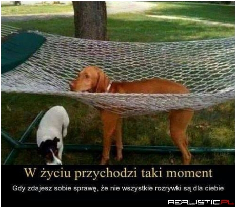 Fakt ;)