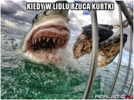 Gdy w Lidlu rzucą cokolwiek