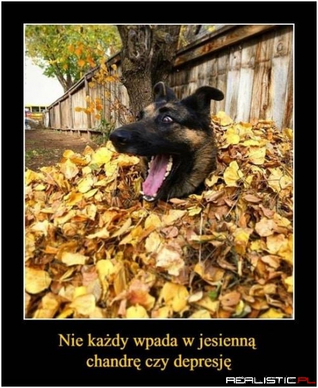 Jaki szczęśliwy