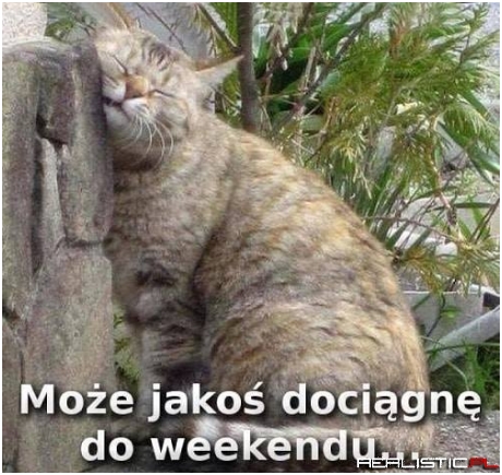 Jakoś to będzie...