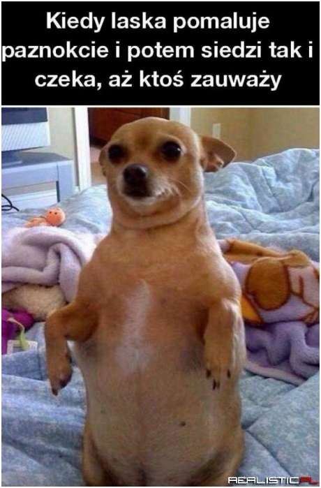Kobieca logika xD
