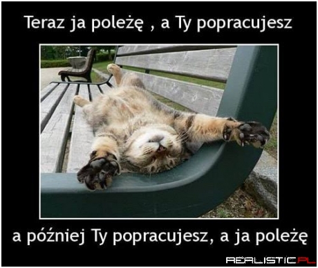 Koty tak mają ;)