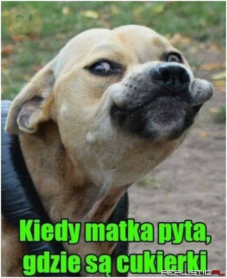 Nic na ten temat nie wiem