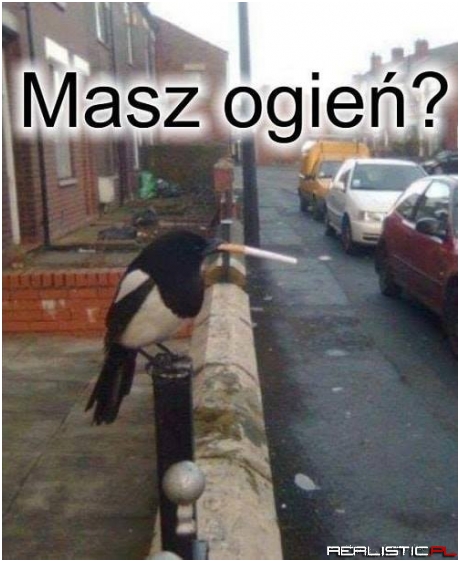 Nie, ale mam zapałki