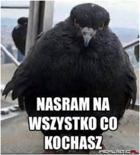 Nie strasz nie strasz xD