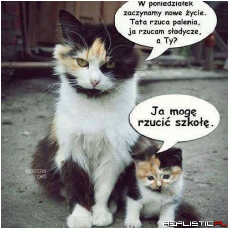 No to rzucamy ;)