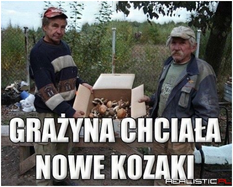 Nowe kozaki