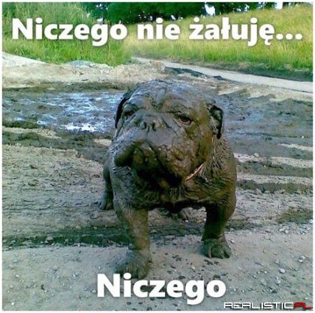 Powrót ze spaceru :D