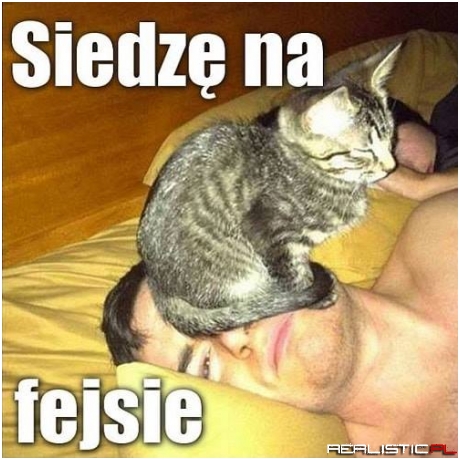 Słodziak