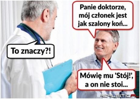 Szalony koń xD