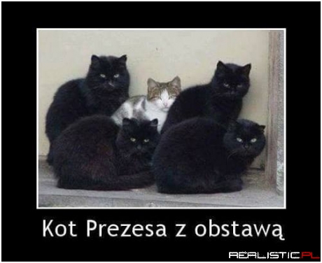 Taka obstawa ;)