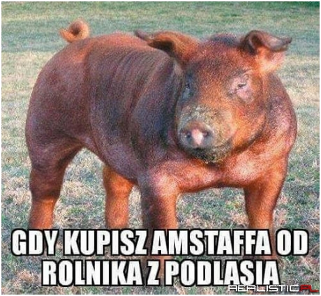 Taka sytuacja ;)