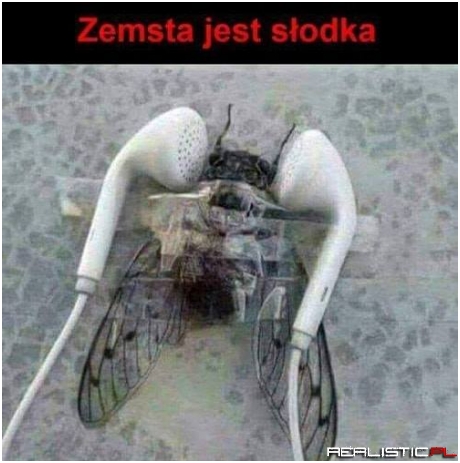 Zemsta jest słodka...a karma działa w obie strony