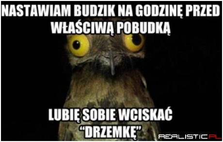 Drzemka